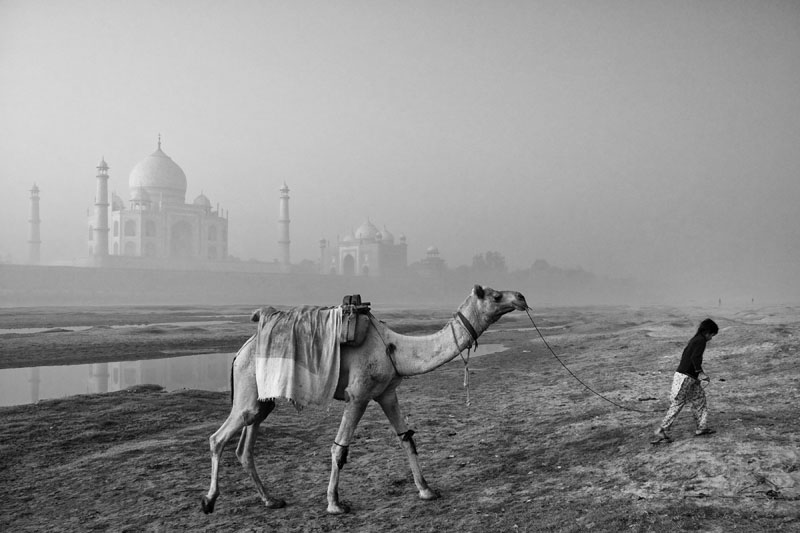 India: Life on a rope | © Abhijit Nandi/Freelance Photographer India: Life on a rope