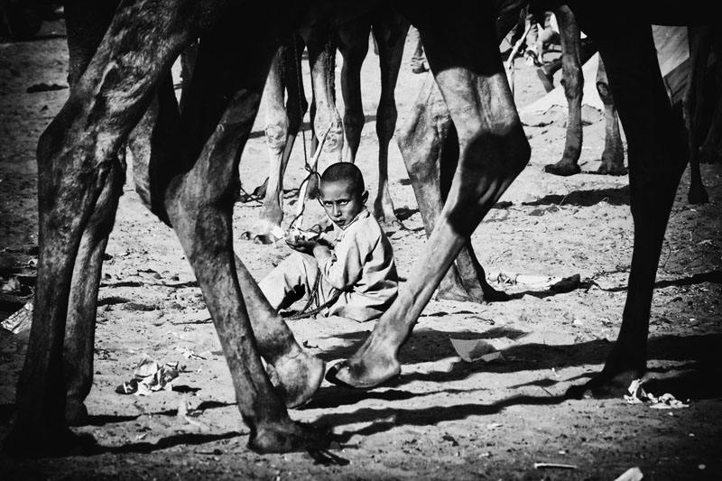 India: Life on a rope | © Abhijit Nandi/Freelance Photographer India: Life on a rope