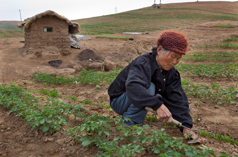 North Korea: The dictatorship of scarcity