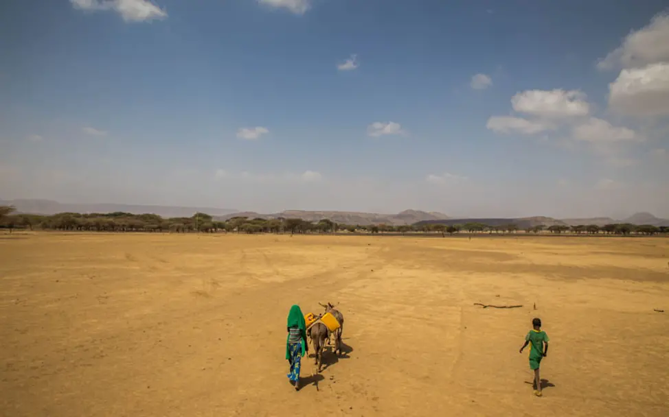 El Niño Äthiopien: Kinder suchen nach Wasser anstatt zur Schule zu gehen. | © UNICEF/UN011588/Ayene El Niño Äthiopien: Kinder suchen nach Wasser anstatt zur Schule zu gehen.