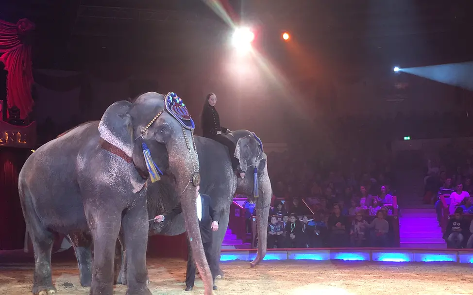 TZ-Kindergala im Circus Krone mit UNICEF tz_aktion_circus_krone_2017_3
