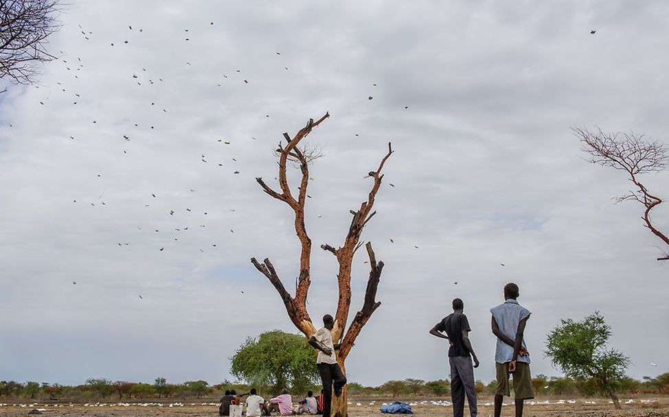 Südsudan: Es wird beobachtet wie über Aburoc Getreidesäcke abgeworfen werden