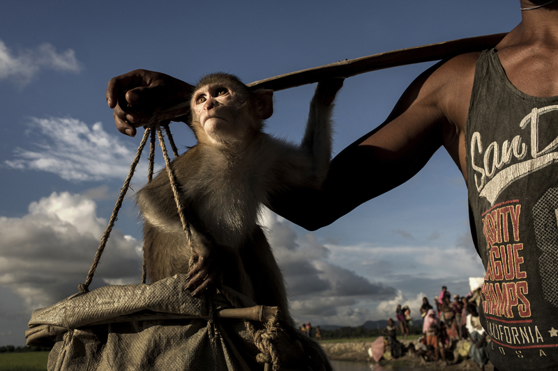 Cox’s Bazar: The exodus of the Rohingya | © K.M. Asad, Bangladesh (Zuma Press) Cox’s Bazar: The exodus of the Rohingya
