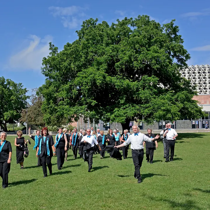 20140720-Ensemble-Musica-Chemnitz-Chorfoto 20140720-Ensemble-Musica-Chemnitz-Chorfoto
