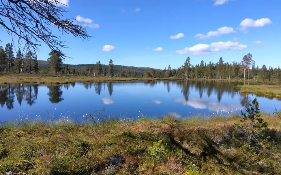 Nordkap-Wanderer Lukas: Im spiegelglatten See scheinen die Bäume wieder | Lukas Bion Nordkap-Wanderer Lukas: Im spiegelglatten See scheinen die Bäume wieder