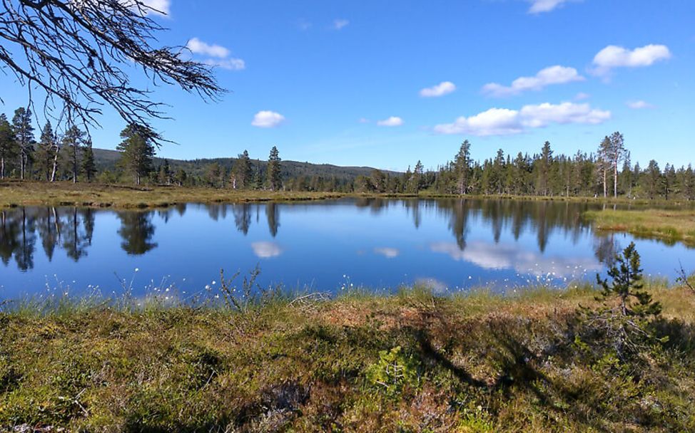 Nordkap-Wanderer Lukas: Im spiegelglatten See scheinen die Bäume wieder