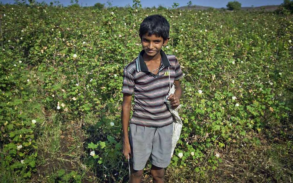 Kinderarbeit in Indien: Ein Junge steht in einem Baumwollfeld. 