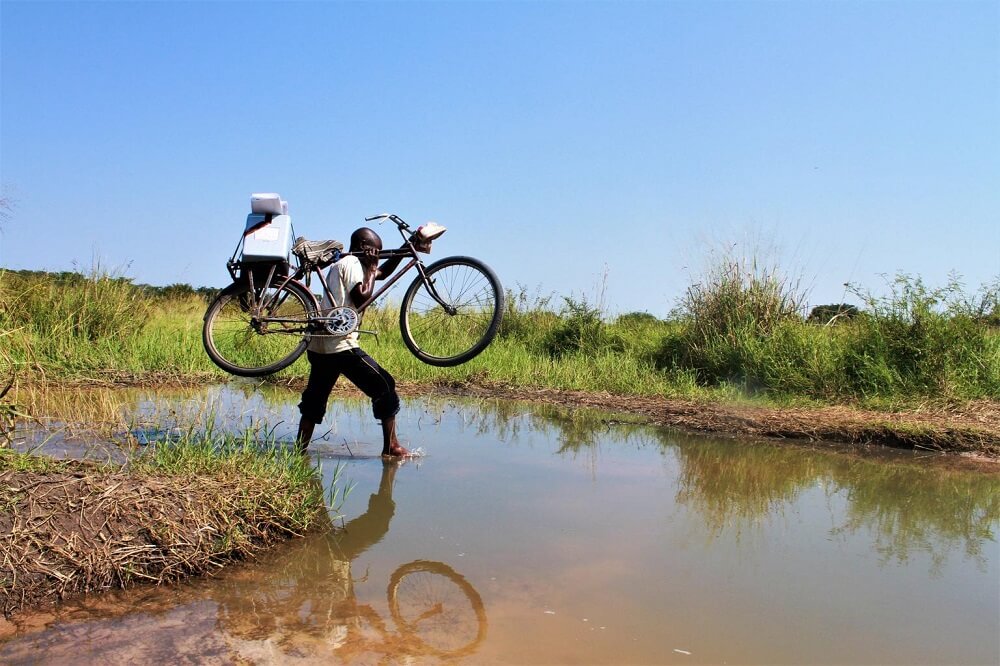 Kongo: Ein Impf-Helfer trägt sein Fahrrad über einen Fluss