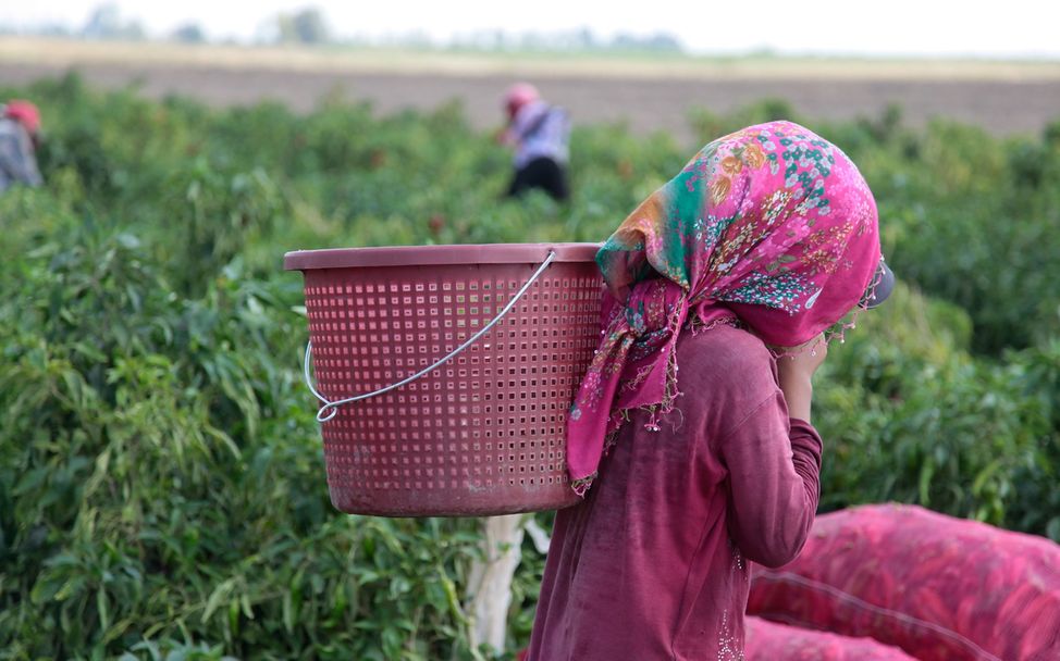 Türkei: Mädchen arbeitet auf dem Feld