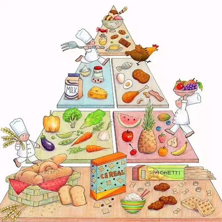 Ernährungspyramide Ernährungspyramide