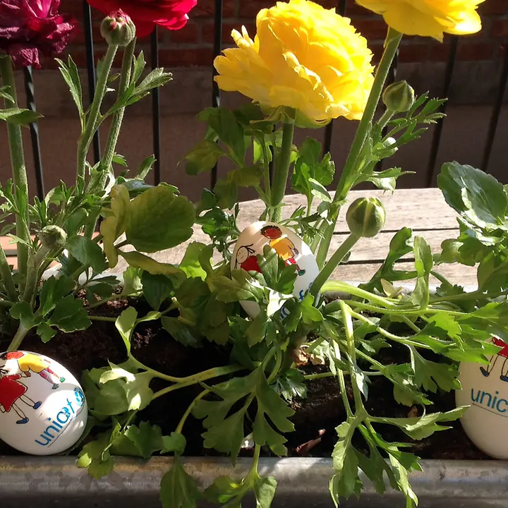 Frühlingsblumen und Ostereier Frühlingsblumen und Ostereier