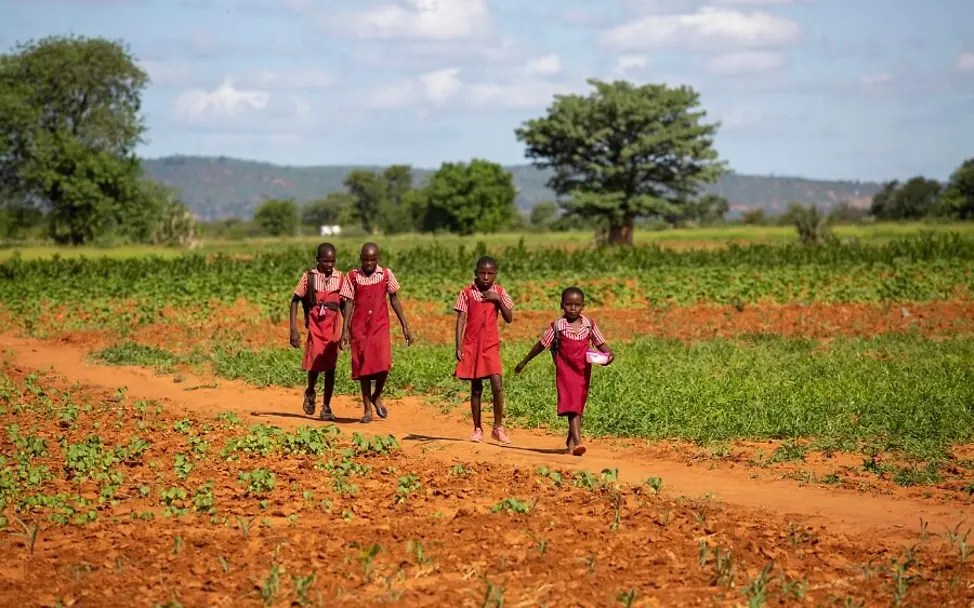 Kinder auf dem Weg zwischen Maisfeldern in Simbabwe. | © UNICEF/Prinsloo Kinder auf dem Weg zwischen Maisfeldern in Simbabwe.