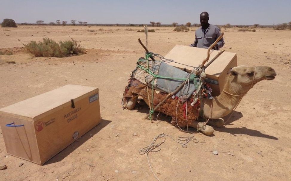 Bücherkisten der mobilen Schulbibliothek. © UNICEF Somalia 