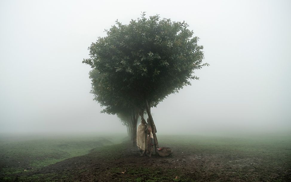 Tigray, Ethiopia: Taking Refuge in Books