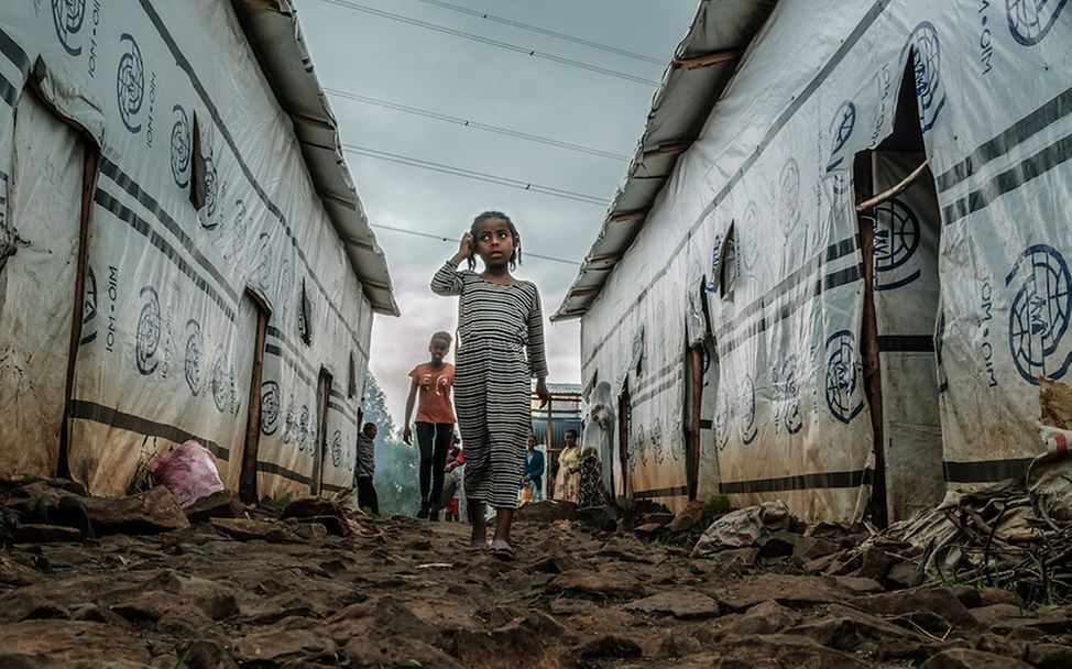 Tigray, Ethiopia: Taking Refuge in Books