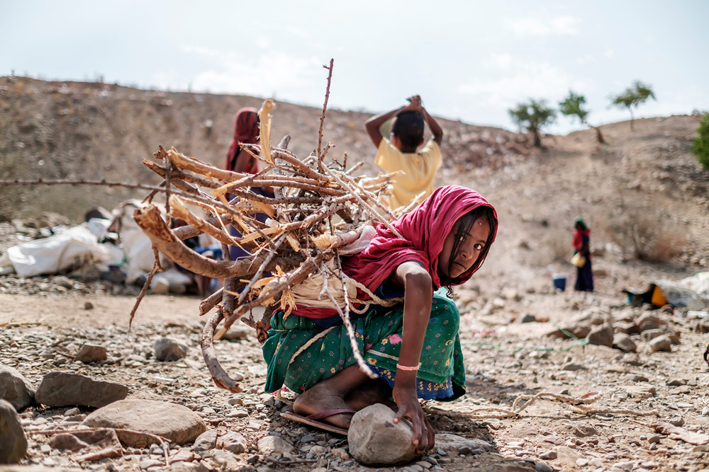 Tigray, Ethiopia: Taking Refuge in Books