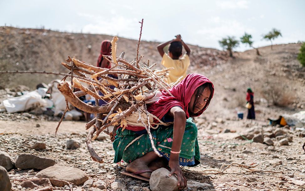 Tigray, Ethiopia: Taking Refuge in Books