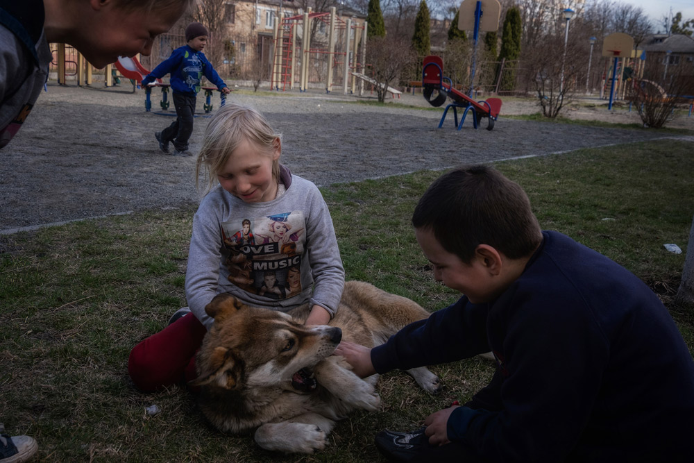 Ukraine: I Once Had a Home