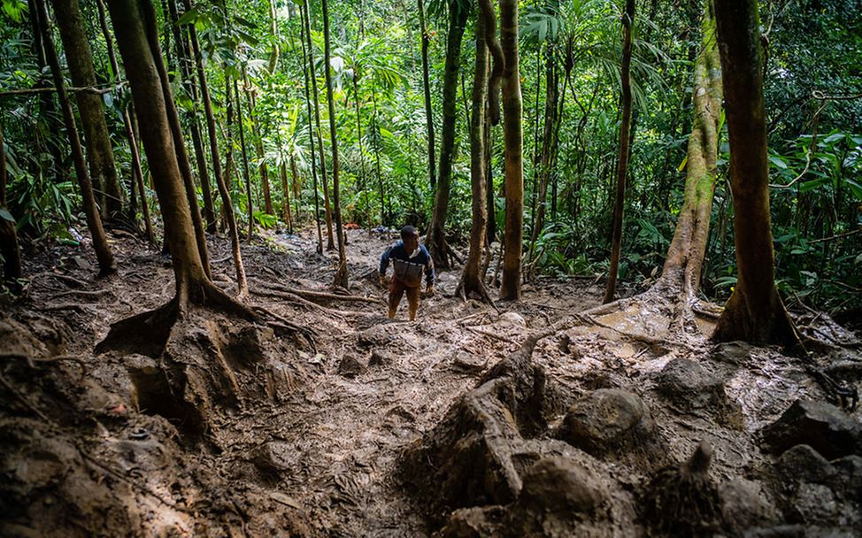 Colombia: Green Hell