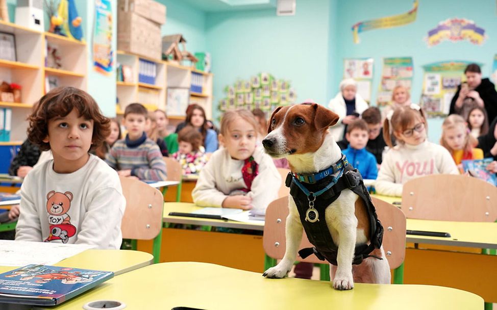 Ukraine-Krieg: Hund Patron hilft mit UNICEF, Kinder vor Minen zu schützen 