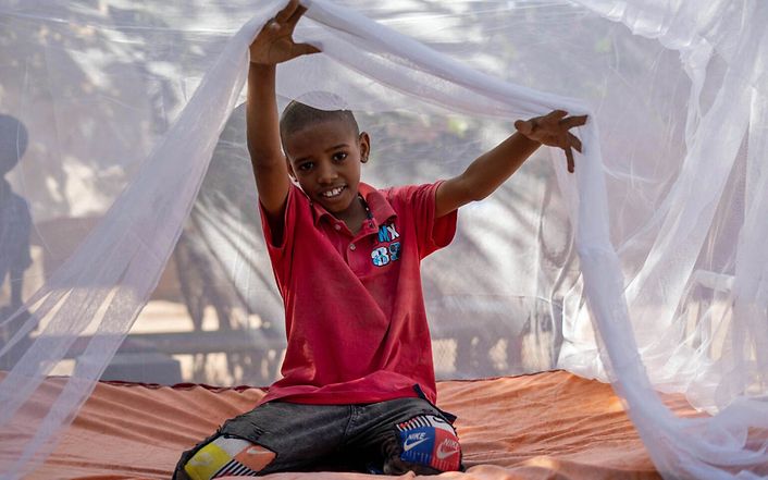 Wunderbar Malaria Prophylaxe Preis Bild