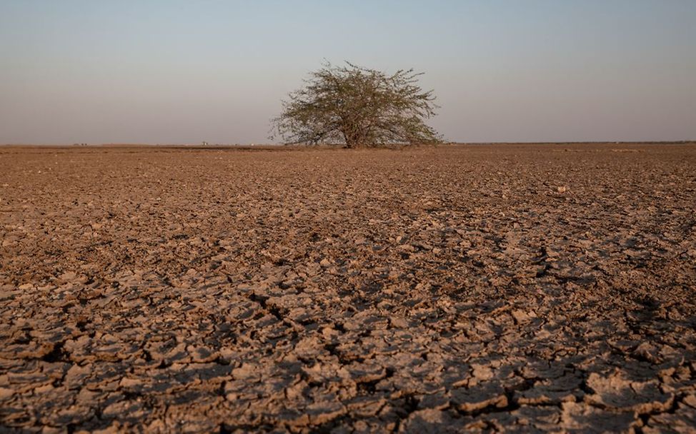 Indien: Das Schicksal der kleinen Wasserträger