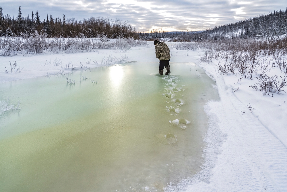 Russia: The children from the great cold forest