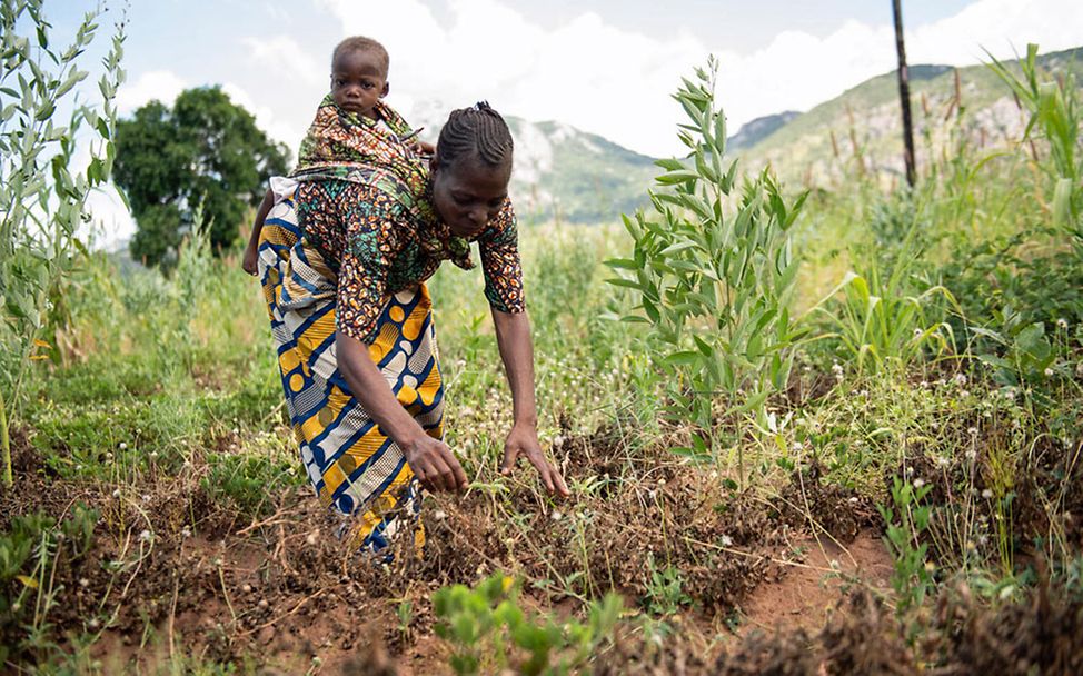 El Niño 2024: Im südlichen Afrika herrscht Dürre. Ernten fallen aus und Kinder leiden Hunger. 