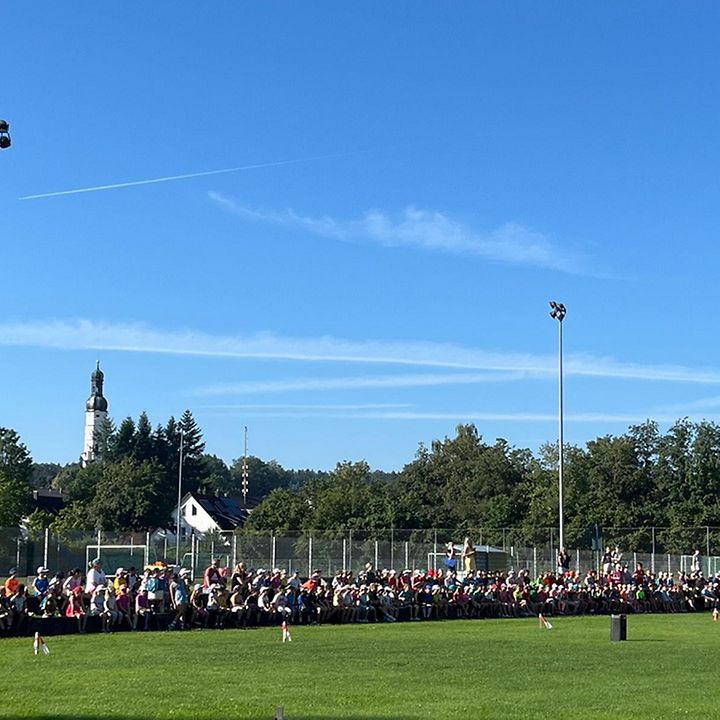 Schullauf Niederscheyern - Starterfeld