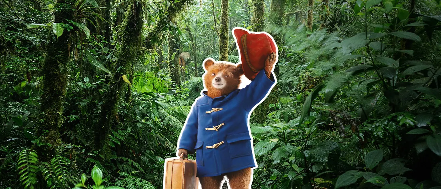 Paddingtons Postkarten