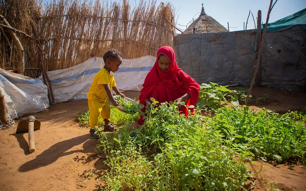 Eine Mutter kann in ihrem Garten Gemüse anbauen | © UNICEF/Mohamdeen Sudan Spenden: Eine Mutter pflegt in ihrem kleinen Garten zusammen mit ihrem Kind ihr Gemüse