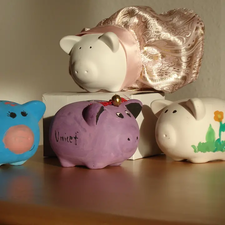 Schwein 001.JPG