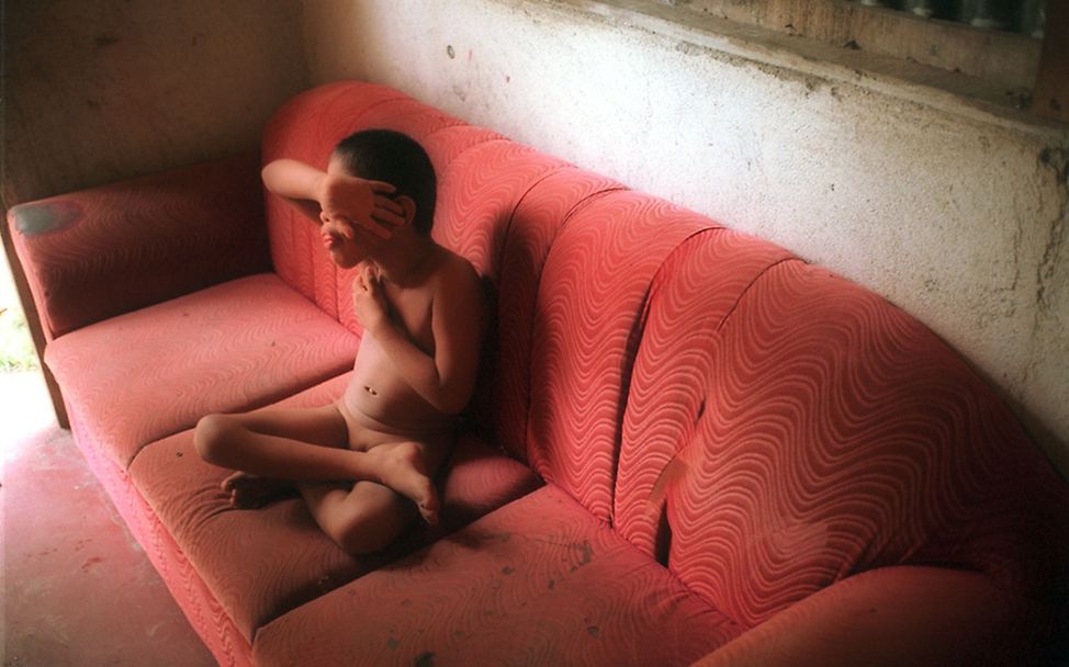 Siviani auf dem Sofa. © Meredith Davenport