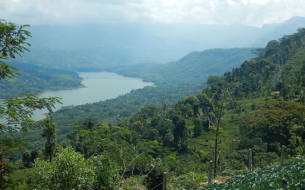 Sri Lanka: Landschaft um das Dorf Thispanekanda.